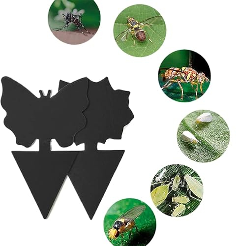 BeNtLi Fruchtfliegenfallen, 30er-Pack doppelseitige Pilz-Mücken-Klebefallen zum Pflanzenschutz und zur Bekämpfung von Insekten an Zimmerpflanzen