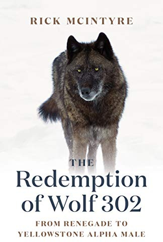 The Redemption of Wolf 302: From Renegade to Yellowstone Alpha Male: 3 (The Alpha Wolves of Yellowstone, 3)