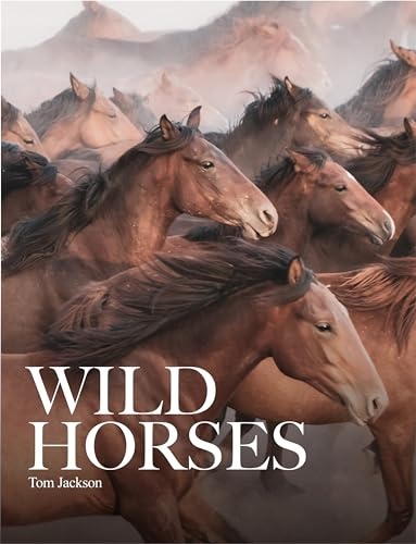 Wild Horses (Animals in Photographs)