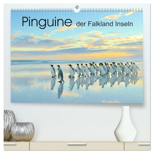 Pinguine der Falkland Inseln (hochwertiger Premium Wandkalender 2026 DIN A2 quer), Kunstdruck in Hochglanz: Die tierischen Stars der Falkland Inseln: Pinguine! (CALVENDO Tiere)