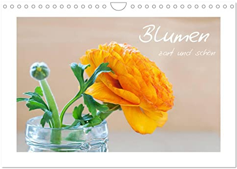 Blumen zart und schön (Wandkalender 2026 DIN A4 quer), CALVENDO Monatskalender: Blumenkalender (CALVENDO Natur)