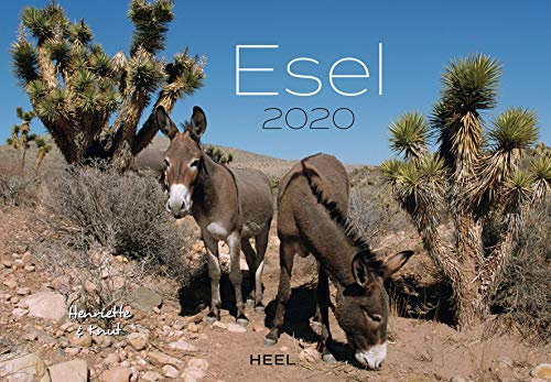 Esel 2020: Der Sympathische Esel-Kalender mit den charmanten Namen