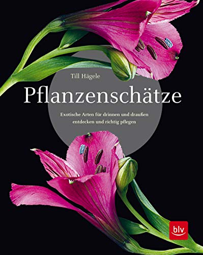 Pflanzenschätze: Exotische Arten für drinnen und draußen entdecken und richtig pflegen (BLV Pflanzenpraxis)