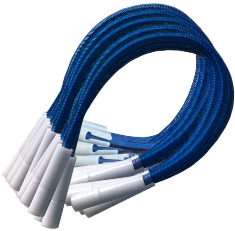 PisciHogar Tensores Lona de Piscina. Goma elástica de Gran Resistencia para el cobertor de Invierno. Regulables. (16 und, Azul)