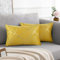 Samt Kissenbezug Gelb 2er Set Kissenbezüge Geometrie Modern Dekokissen Kissenhülle Sofakissen Couchkissen Dekorative Kissen Outdoor Zierkissen Bezug für Schlafzimmer Sofa Bett Winter 30x50 cm