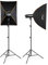 Walimex Pro Stager 400 HSS Set Double - leistungsstarker Studioblitz mit 2,4 GHz Empfänger, HSS-Modus, 400 Ws, Kurze Abbrennzeit, LED-Einstelllicht, für Profifotografen