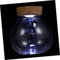 FRCOLOR 2st Landschaftsflasche Landschaft Flasche Ökologisches Displayglas Led-glasflasche Ökologisches Aquarium Fischschalen Aus Glas Für Betta-Fische Klein Weiß Anlage Holz 3D Blumen