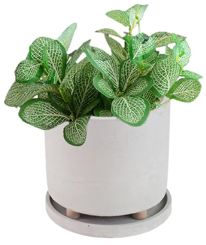Yulokdwi Vaso per piante con piedi,Fioriera con piedi | Fioriera da interni con vassoio | Vaso per piante creativo, contenitore per piante per balcone di casa, patio, giardino, davanzale