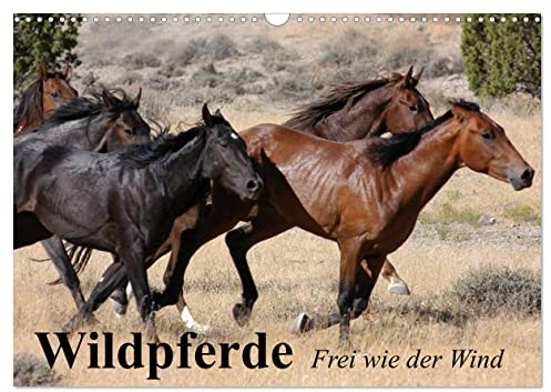 Wildpferde. Frei wie der Wind (Wandkalender 2025 DIN A3 quer), CALVENDO Monatskalender