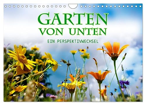 Garten von unten. Ein Perspektivwechsel (Wandkalender 2026 DIN A4 quer), CALVENDO Monatskalender: Pflanzen aus der Froschperspektive (CALVENDO Natur)