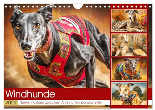 Windhunde. Seelenflüsterer zwischen Anmut, Tempo und Stille (Wandkalender 2026 DIN A4 quer), CALVENDO Monatskalender: Windhunde in Momenten voller ... und natürlicher Schönheit (CALVENDO Tiere)