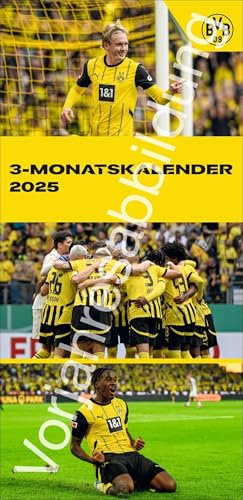 BVB 3-Monats-Planer 2026: Für Fans: Fußballkalender mit Planungsinstrument und Quartalsübersicht. Praktischer Terminkalender mit coolen Fotos der Stars von Borussia Dortmund (Bundesliga Kalender Heye)