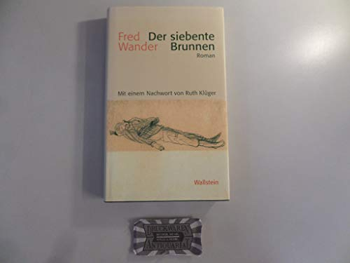 Der siebente Brunnen: Roman