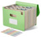 EcoStash Dokumentenmappe A4 12 Fächer, Weizenstroh Fächermappe Sortiermappe Bunte Datei Ordner Organizer, Akkordeon Aktenmappe Ordnungsmappe, BPA-frei, Zurück zur Natur, Gesundes Leben-Mintgrün