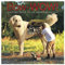 Bow-Wow The Adventures of Juji 2019 Calendar