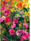 Brand: Merrell Publishers