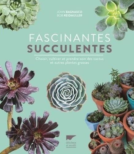 Fascinantes succulentes: Choisir, cultiver et prendre soin des cactus et autres plantes grasses