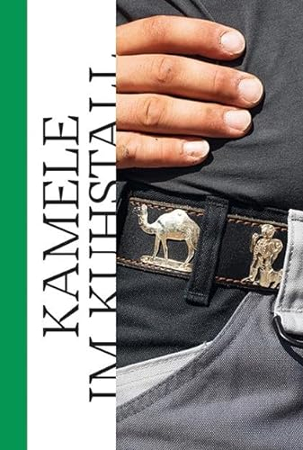 Kamele im Kuhstall, Shrimps im Swimmingpool: Einblicke in eine neue Schweizer Landwirtschaft