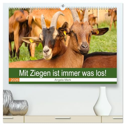 Mit Ziegen ist immer was los! (hochwertiger Premium Wandkalender 2026 DIN A2 quer), Kunstdruck in Hochglanz: Mit Ziegen kommt keine Langeweile auf! (CALVENDO Tiere)