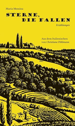 Sterne, die fallen: Erzählungen (Friedenauer Presse Winterbuch)