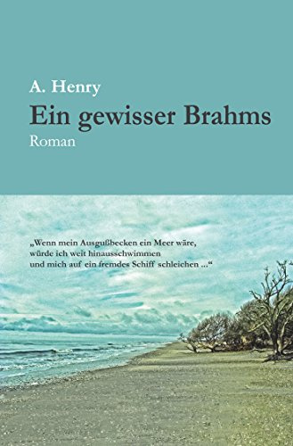 Ein gewisser Brahms: Roman