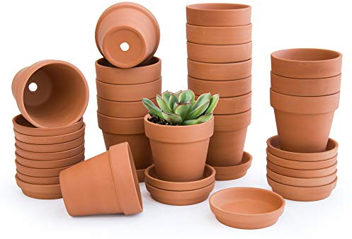 D'vine Dev Lot de 18 Pots en Terre Cuite avec soucoupes, 7,6 cm avec Plateau, Pots en Argile pour Plantes et Plantes Grasses, Terre Cuite, 588-51-1