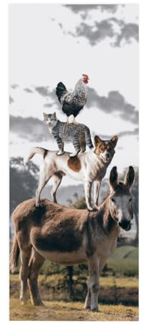 TüRtapete Selbstklebend TüRposter TüRaufkleber Tapete, Wandaufkleber für Schlafzimmer, Heimdekoration, wasserdicht, abnehmbares Premium Vinyl Upgrade, lustiges Tier Esel, Hund, Katze, Hahn