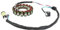 Tomvorks Generator Stator Coil 5 Km 15451-00-00 Wärmefest Kompatibel mit Grizzly 660, YFM660FA 4x4