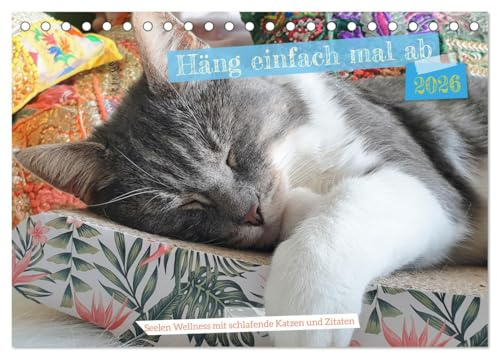 Häng einfach mal ab (Tischkalender 2026 DIN A5 quer), CALVENDO Monatskalender: Schlafende Katzen und Zitate zum Träumen - Wellness für die Seele (CALVENDO Gesundheit)