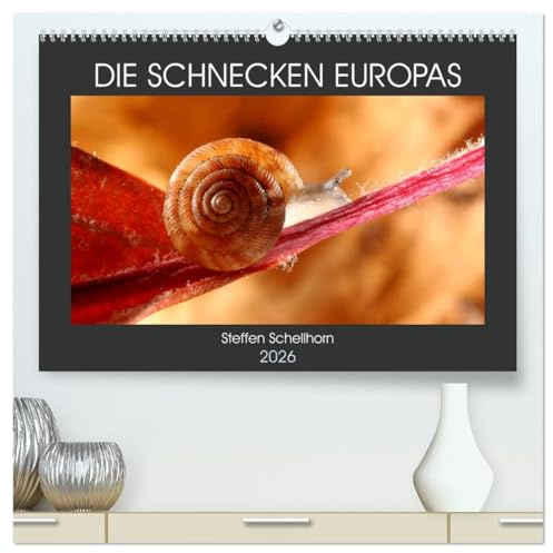 DIE SCHNECKEN EUROPAS (hochwertiger Premium Wandkalender 2026 DIN A2 quer), Kunstdruck in Hochglanz: Der Vielfältigkeit der Schnecken in Europa auf der Spur (CALVENDO Tiere)