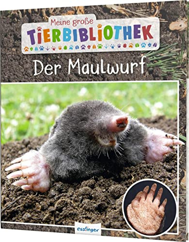 Meine große Tierbibliothek: Der Maulwurf: Sachbuch für Vorschule & Grundschule