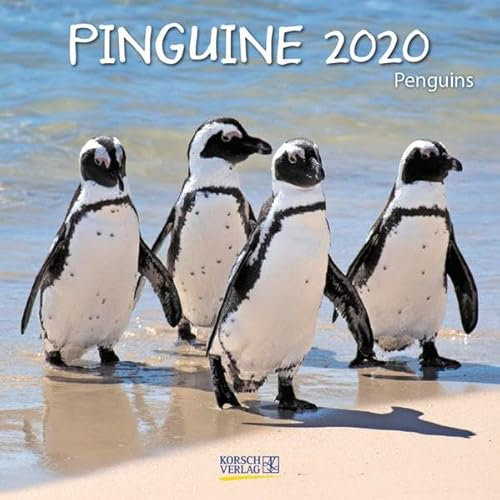 Pinguine 2020: Broschürenkalender mit Ferienterminen. Lustige Bilder der Eis-vögel. 30 x 30 cm