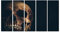 Bild auf Leinwand Creepy Old Skull Close Up On Black Background Death And Mystery Konzept Wandbild Leinwandbild Bilder für Wohnzimmer GBYA-5P