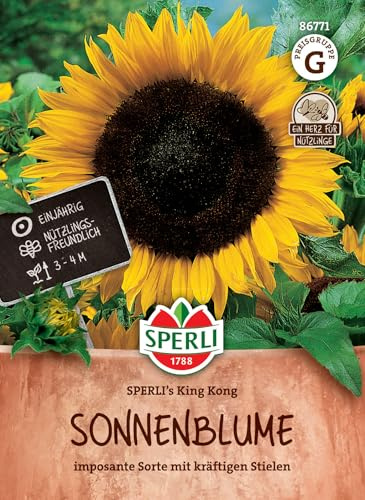 Sperli Sonnenblumensamen SPERLI's King Kong 86771, Blumensaat | Nützlingsfreundlich, imposante Sorte, als Schnittblume, für Beet & Schnittblumen