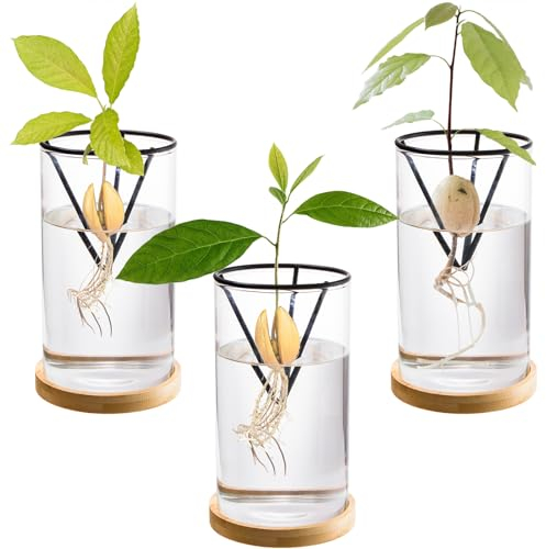 Lawei Avocado-Baum-Anzucht-Set, Glas-Avocado-Samen-Startervase mit Metall-Dreieck-Halterung und Bambus-Basis, Avocado-Grube, Sprossen-Pflanzgefäß, Glasflasche für Gartenliebhaber, Heimdekoration, 3