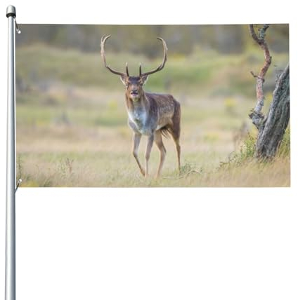 180 x 120 cm (6 x 4 Fuß) Damhirsch Hirsch spazieren im Wald Flagge für Haus Rasen hängende Dekoration Hofbanner Urlaub Willkommen Flaggen mit 2 Metallösen, für drinnen und draußen