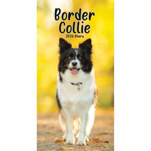 Border Collies Slim Diary 2026