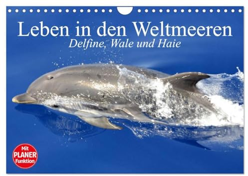 Leben in den Weltmeeren. Delfine, Wale und Haie (Wandkalender 2025 DIN A4 quer), CALVENDO Monatskalender