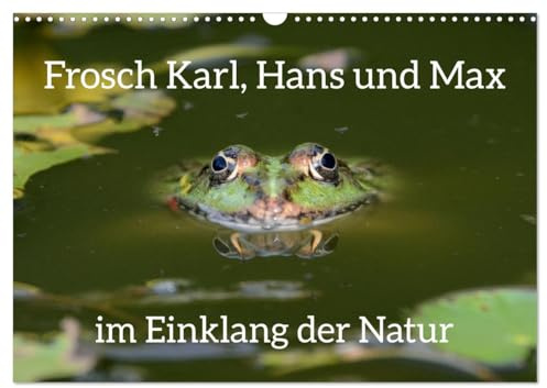 Frosch Karl, Hans und Max im Einklang der Natur (Wandkalender 2026 DIN A3 quer), CALVENDO Monatskalender: Ich kann stundenlang am Teich sitzen und nur genießen. (CALVENDO Tiere)