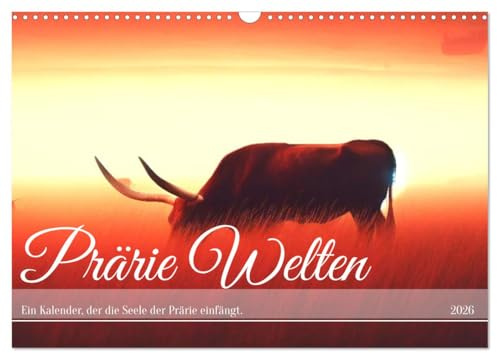 Prärie Welten - Ein Kalender, der die Seele der Prärie einfängt. (Wandkalender 2026 DIN A3 quer), CALVENDO Monatskalender: Prärie Welten: Seele der Wildnis im Kalender. (CALVENDO Natur)