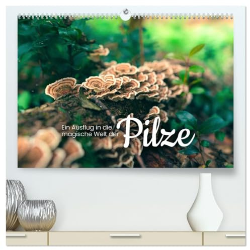 Ein Ausflug in die magische Welt der Pilze (hochwertiger Premium Wandkalender 2026 DIN A2 quer), Kunstdruck in Hochglanz: Weder Gemüse noch Tier. (CALVENDO Natur)