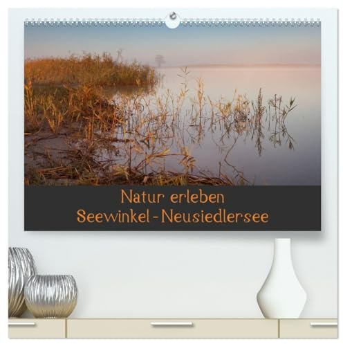 Natur erleben Seewinkel-Neusiedlersee (hochwertiger Premium Wandkalender 2026 DIN A2 quer), Kunstdruck in Hochglanz: Naturkulisse Seewinkel im Burgenland, Österreich (CALVENDO Natur)