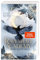Ravenhall Academy 1: Verborgene Magie: Romantische Hexen Fantasy mit Academy-Setting (1)
