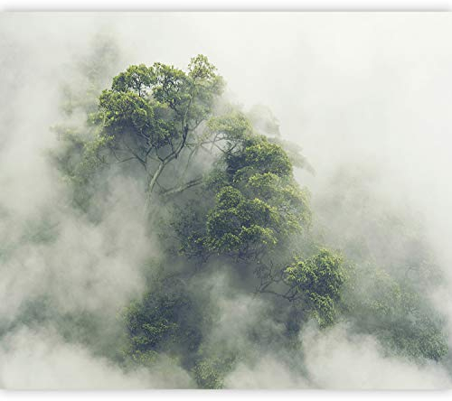 murando - Vlies Fototapete Wald im Nebel 350x256cm Foto Tapete Schlafzimmer Wohnzimmer Vliestapete XXL Motivtapeten Bildtapete 3d Effekt Wand Dekoration - Natur Baum Wolke Landschaft b-B-0486-a-a