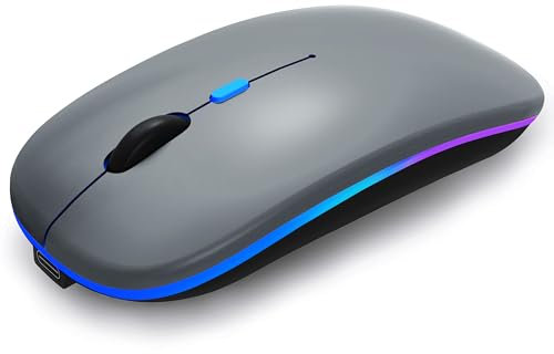 WREANU Mouse wireless Bluetooth, ricaricabile a LED, silenzioso e sottile, portatile (BT5.2 + ricevitore USB), mouse per computer a doppia modalità, per laptop, computer desktop, tablet, telefono, TV