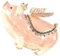 Cabilock Luxuriöse Miniatur-schmuckschatulle Schweinchen-schmuckschatulle Für Ohrringe Als
