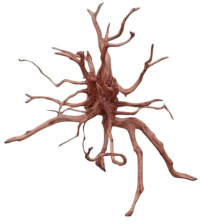Natunae - Holz Red Spider King Wood, Moorkienwurzel Deko für Aquarium, Zierstamm, Dekoration für Terrarien M 30-40 cm