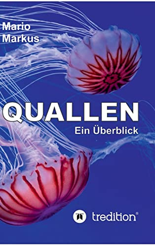 Quallen: Ein Überblick