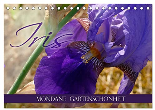 Iris - mondäne Gartenschönheit (Tischkalender 2026 DIN A5 quer), CALVENDO Monatskalender: Irisblüten, elegant in Szene gesetzt (CALVENDO Natur)