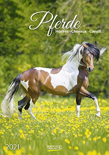 Korsch Verlag